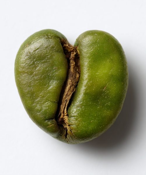 WhatsApp Image 2025-11-28 at 1.10.02 AM (1)